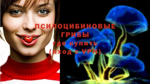 бошки Михайловск