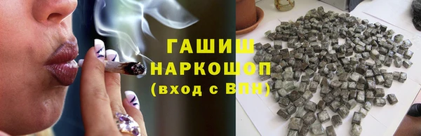 СК Медвежьегорск