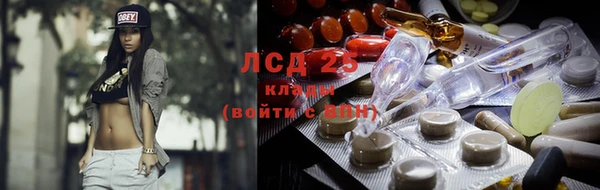 сатива Медногорск