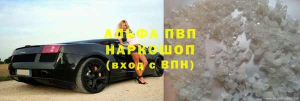 сатива Медногорск