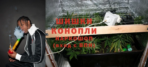 сатива Медногорск