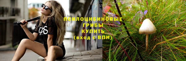 прущая мука Мегион